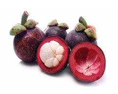 Mangosteen Products