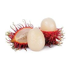 Mangosteen Products